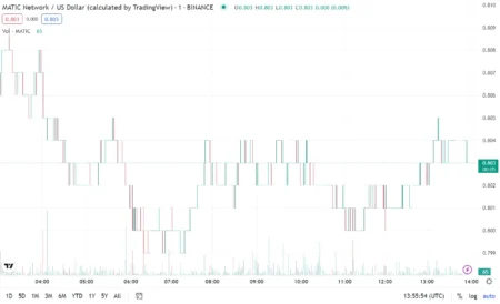 Mastercard Partners with Polygon to Build Cryptocurrency Transfer Sys