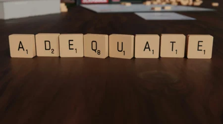 MegaETH Launches MEGA Allocation Quota Query Page for Users