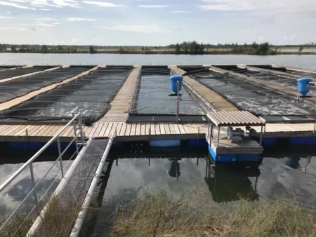 MemeRepublic Unveiled by TON as New On