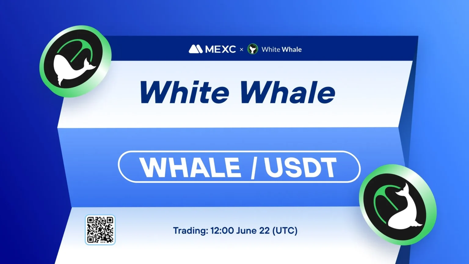 Mexc partners with the white whale for business improvement efforts - Bpay News