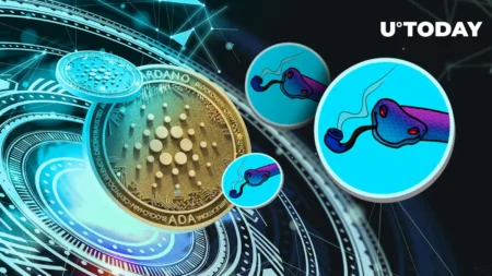 Monad Ecosystem: CHOG Meme Coin Surpasses Million Cap Monad Ecosystem: CHOG Meme Coin Surpasses Million Cap