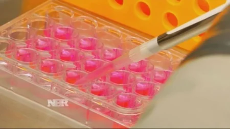 Nasdaq Leads US Stocks to New Highs