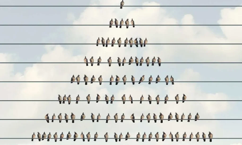 Oklahoma resident sentenced five years for $ million crypto ponzi scheme - Bpay News