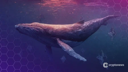 On-chain Whale Activity Overview: $ETH Bull Whale Loses Conviction