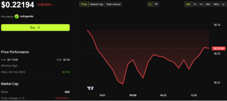 First Pi Hackathon Winner Puts Itself Up for Sale