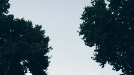 Polkadot Price Prediction Indicates Target Range of $3.20-$3.44