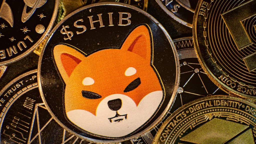 Shiba Inu Slides 5% Despite Token Burn as Bitcoin Drops Below Average