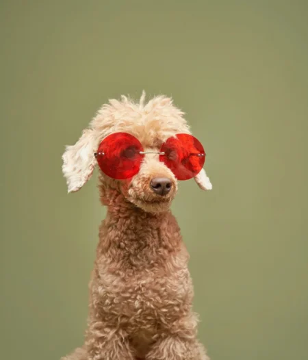 $SOL Surges Above $170 in Significant Price Movement