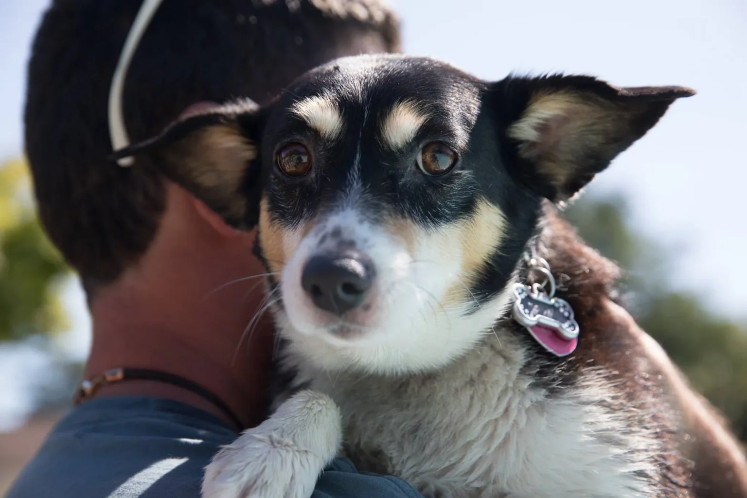 South korean agency considers allowing tech giants to issue stablecoi - Bpay News