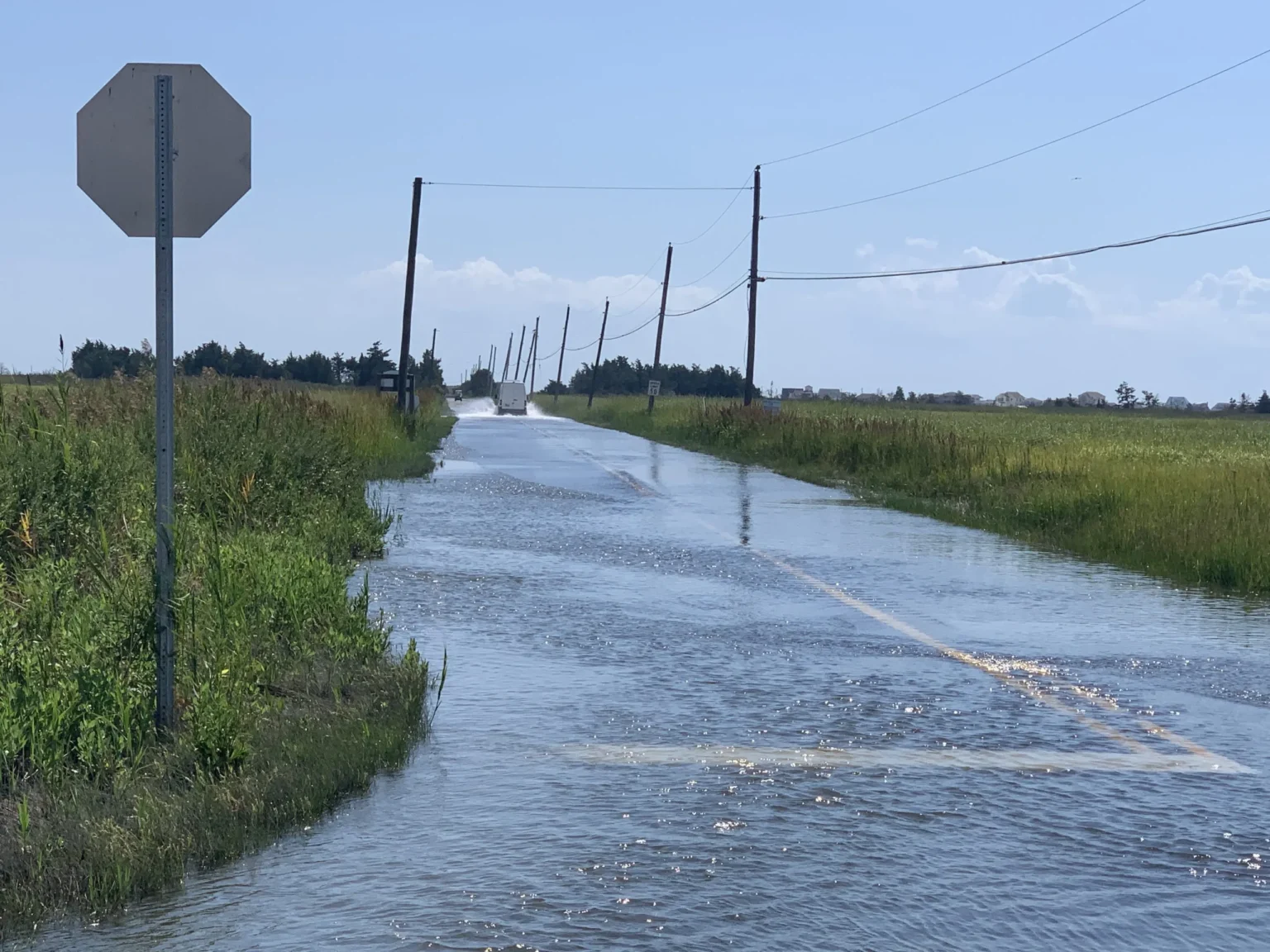 Stop fomoing six key metrics for identifying highpotential projects - Bpay News