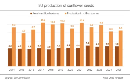 Strategy Plunges to Weakest Level in 13 Months, Still Trades at Premi