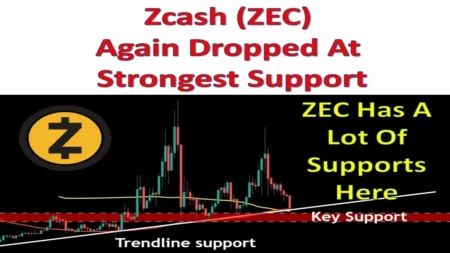 Top 100% Win Rate Whale Goes Short on ZEC Again, Liquidation Price Top 100% Win Rate Whale Goes Short on ZEC Again, Liquidation Price