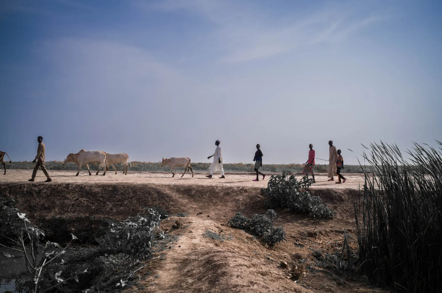 USDCHF Technical Analysis: Sustaining the Upward Momentum