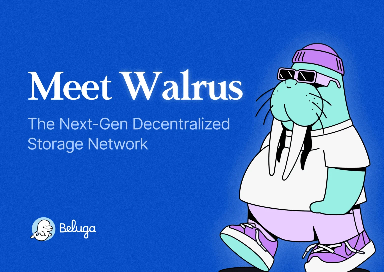 Walrus decentralized data storage layer collaborates with prediction market - Bpay News