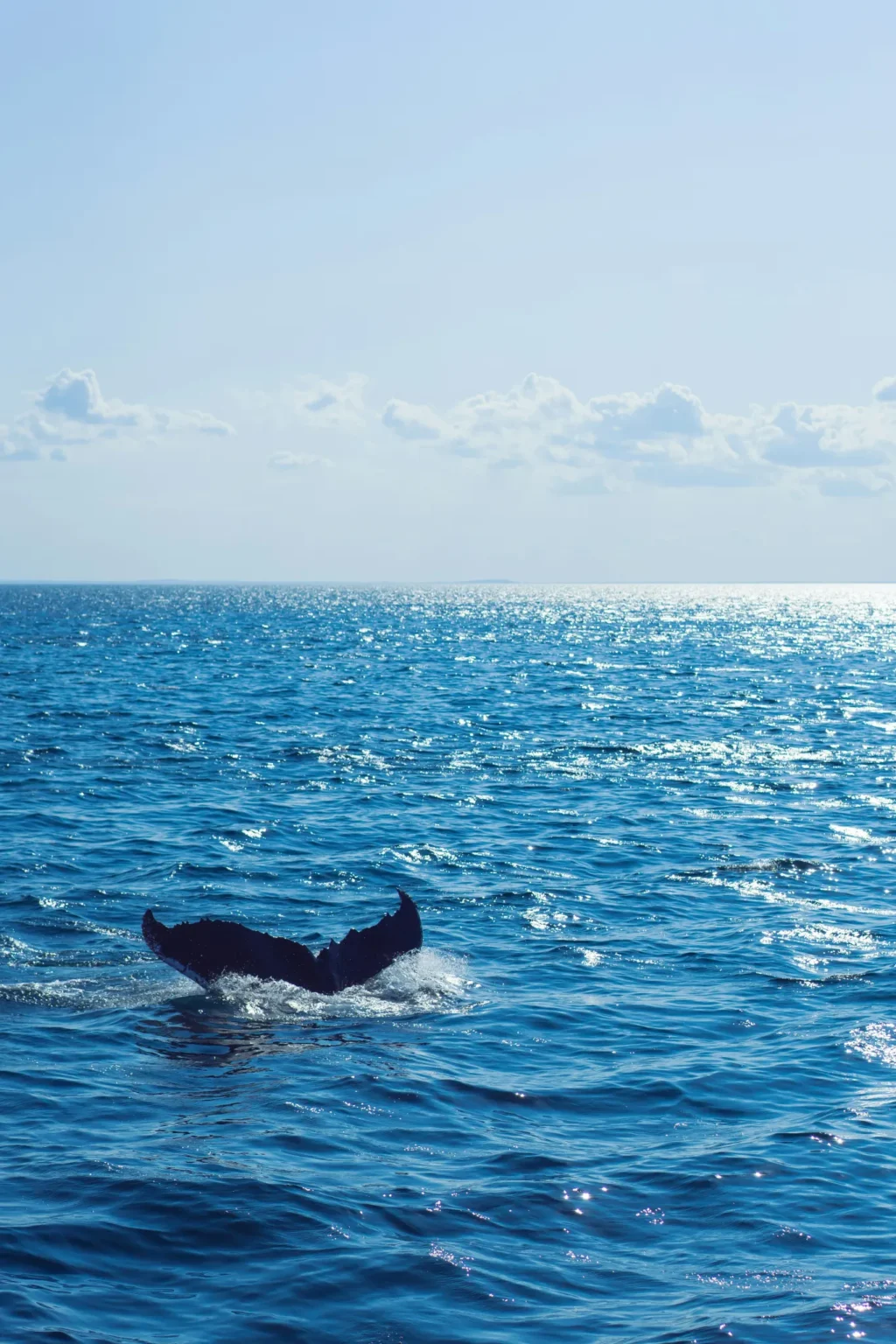 Whale expands long $eth position to $ million with liquidation pr - Bpay News