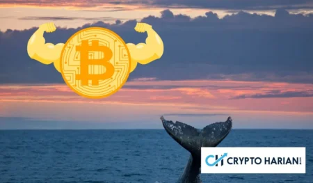 Whale Holds 300 BTC Long Position with 20x Leverage, Liquidation Pric
