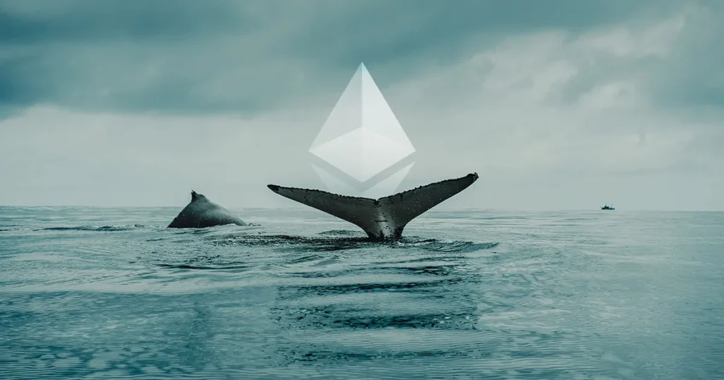 Whale increases holdings by over $eth shorting $eth - Bpay News