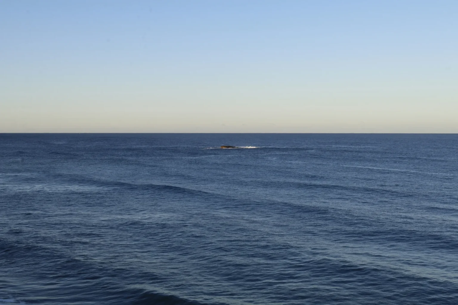 Whale’s Early Morning Surge Results in Sale of 87.12 WBTC