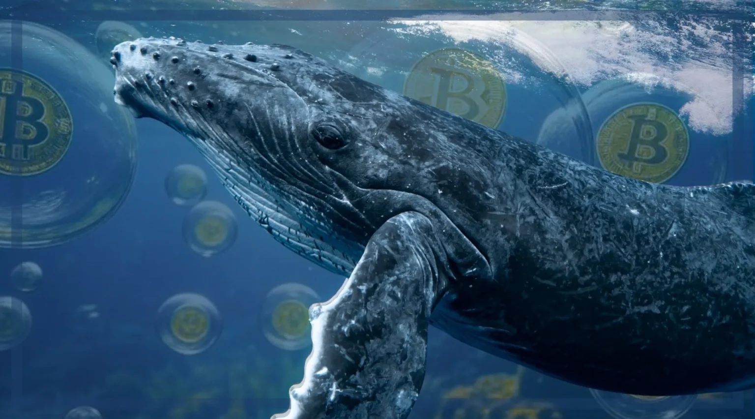 Whale Sells Nearly Million Worth of WBTC Acquired at ,933 Whale Sells Nearly Million Worth of WBTC Acquired at ,933