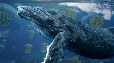Whale Sells Nearly $9 Million Worth of WBTC Acquired at $16,933