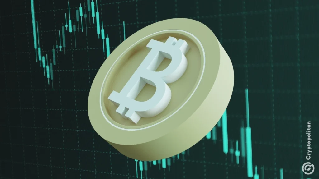 Whale takes massive short positions on $btc $xrp and zec - Bpay News