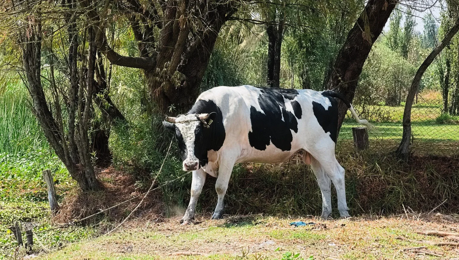 Where’s the Liquidity Gone? Crypto Daybook Americas Overview Where’s the Liquidity Gone? Crypto Daybook Americas Overview