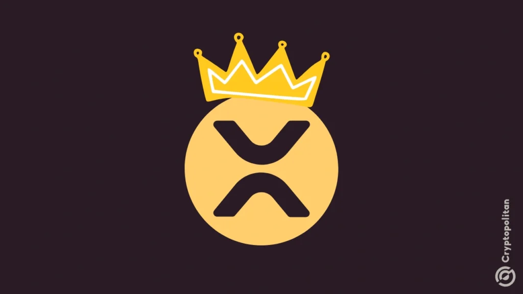 XRP Gains Hit Yearly Bottom, Yet Fresh Investors Anticipate Market Recovery XRP Gains Hit Yearly Bottom, Yet Fresh Investors Anticipate Market Recovery