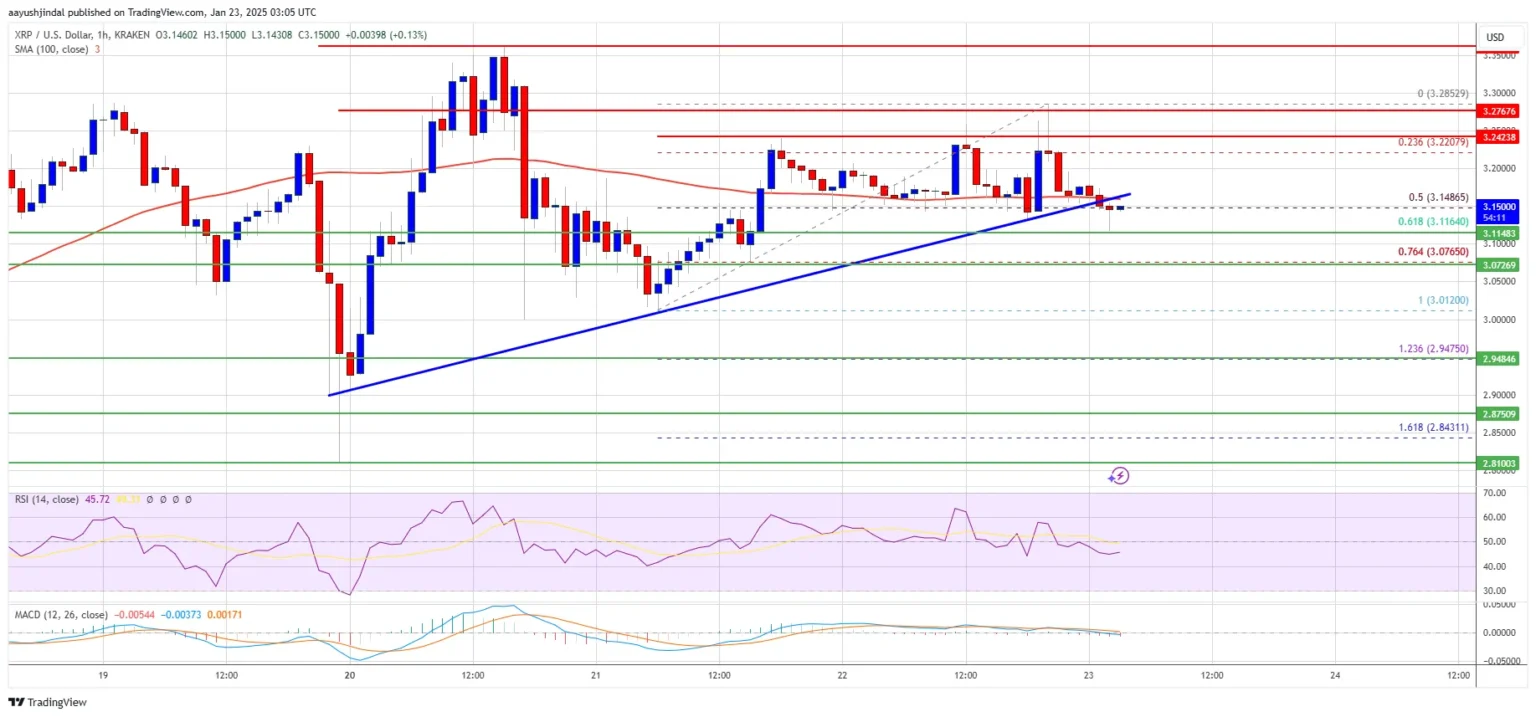 Xrp price recovery pauses due to a single crucial factor - Bpay News