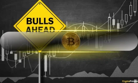 Yi Li Hua Bullish on Future Price Movements, Cryptocurrency Undervalu Yi Li Hua Bullish on Future Price Movements, Cryptocurrency Undervalu