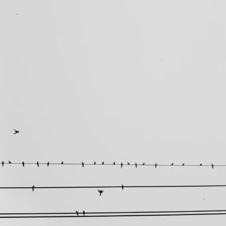 ZEC Short Position on Hyperliquid Faces $21.5 Million Loss