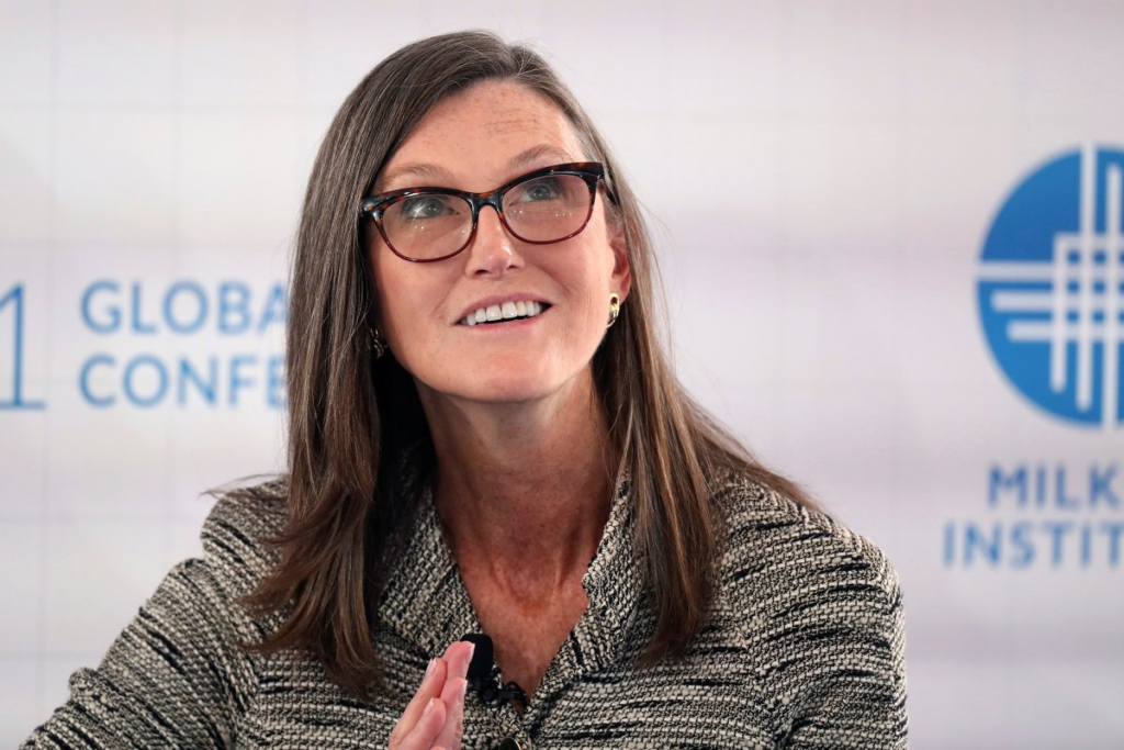 Cathie Wood Investments: Bullish on AI and Cryptocurrency