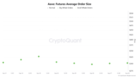 AAVE Whale Purchase: 60,000 AAVE Bought Today