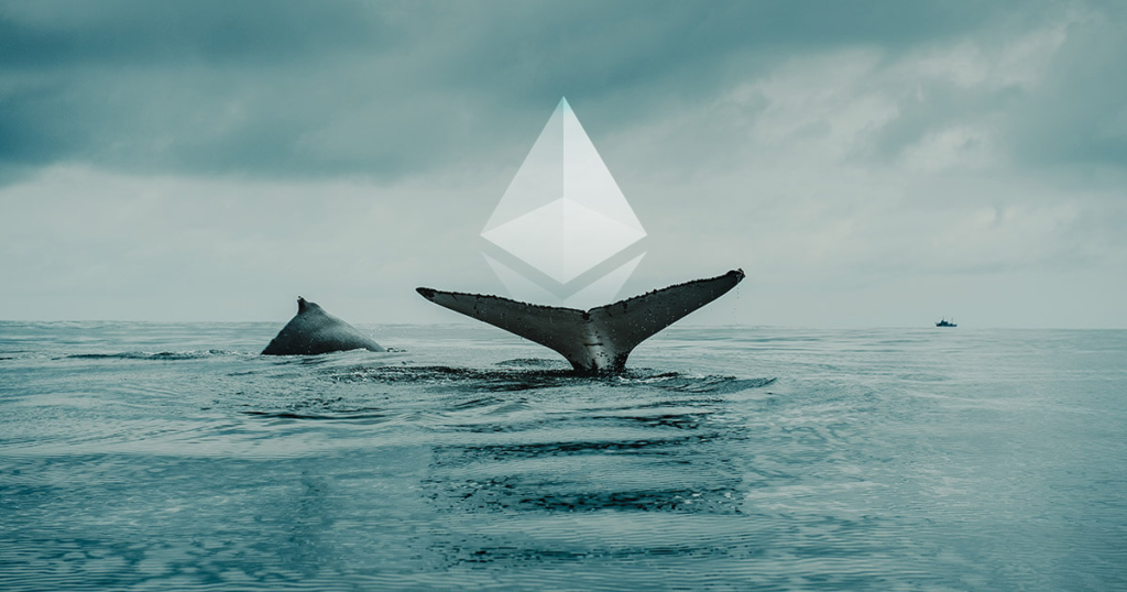 Ethereum Whale Deposits 1000 ETH to CEX Worth 3 Million Ethereum Whale Deposits 1000 ETH to CEX Worth 3 Million