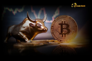 Bitcoin Bull Market Slowdown: What It Means for Investors Bitcoin Bull Market Slowdown: What It Means for Investors