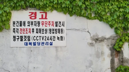 Do Kwon Sentencing: 12-Year Prison Sentence Recommended Do Kwon Sentencing: 12-Year Prison Sentence Recommended