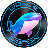 Whale Deposit USD Coin into HyperLiquid and Long Positions Whale Deposit USD Coin into HyperLiquid and Long Positions