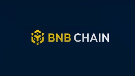 BNB Chain 2026 Technology Roadmap: 20,000 TPS Goal