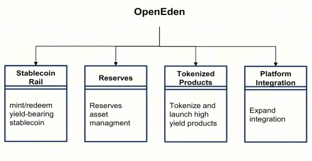 OpenEden Strategic Financing: Investors Include Ripple and More