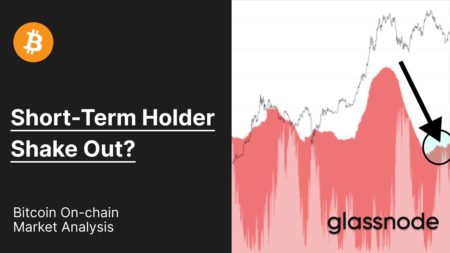 Bitcoin Short-Term Holder Shakeout Boosts Price Recovery Bitcoin Short-Term Holder Shakeout Boosts Price Recovery
