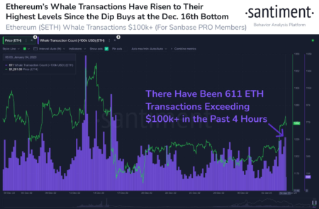 Whale ETH Transactions: Insights on Recent Buy and Sell Moves Whale ETH Transactions: Insights on Recent Buy and Sell Moves
