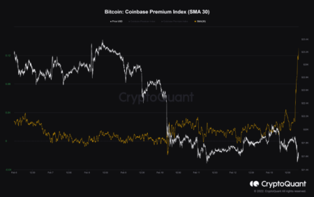 Bitcoin Company Premiums and Market Trends Explained Bitcoin Company Premiums and Market Trends Explained
