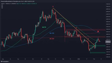 BTC Market Analysis: Current OKX Trends and Insights