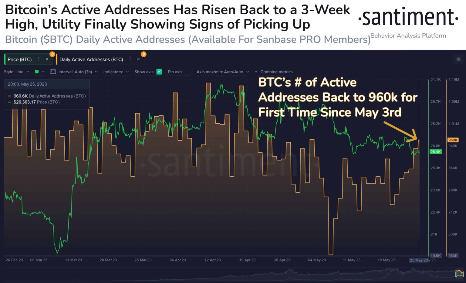 Bitcoin Address Activity: Major Movements Revealed