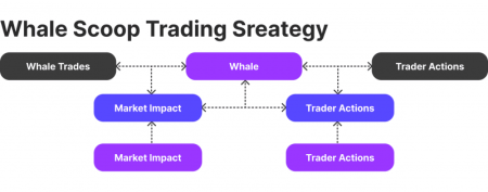 Whale Trading Strategies: Profiting from Short Positions