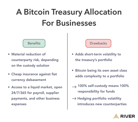 Bitcoin Corporate Treasury Allocation: Expert Cautions Bitcoin Corporate Treasury Allocation: Expert Cautions
