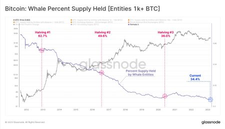 Increasing BTC Holdings: A Strategic Advantage for Shareholders
