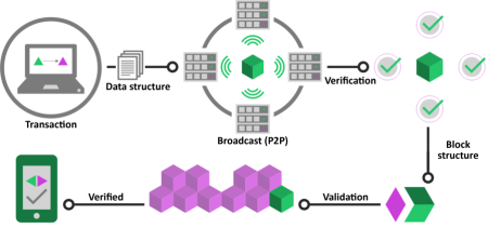 Flow Blockchain Rollback: Alex Smirnov’s Serious Concerns Flow Blockchain Rollback: Alex Smirnov's Serious Concerns