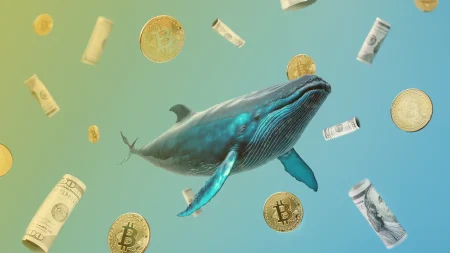 Whale Crypto Withdrawal: Massive $9.61 Million Moved from Kraken
