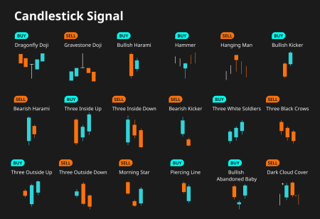 Crypto Trading Signals: Insights from a $197M Bear