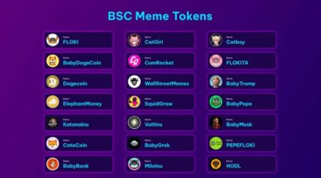 BSC Meme Coin ‘Laozi’ Surpasses $10 Million Market Cap: What’s Next?